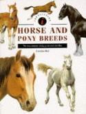 Identifying Horse and Pony Breeds