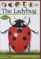 The Ladybug