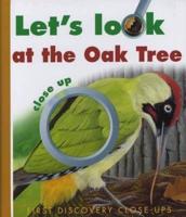 Let's Look at the Oak Close Up