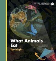 What Animals Eat?