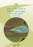 A Key to the Adults of British Lacewings and Their Allies