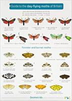 Guide to the Day-Flying Moths of Britain