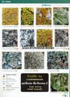 Guide to Common Urban Lichens. 1 (On Trees and Wood)