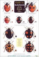 Guide to Ladybirds of the British Isles