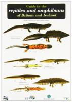 A Guide to the Reptiles and Amphibians of Britain & Ireland