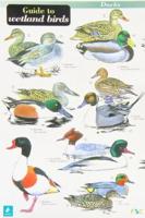 A Guide to Wetland Birds