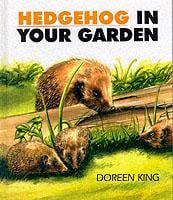 Hedgehog in Your Garden