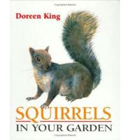 Squirrel in Your Garden