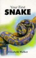 Your First Snake