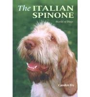 The Italian Spinone