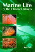 Marine Life of the Channel Islands
