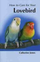 Your First Lovebird