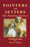 Pointers & Setters