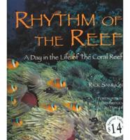 Rhythm of the Reef