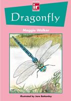 Dragonfly. Teacher's Book