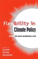 Flexibility in Global Climate Policy: Beyond Joint Implementation