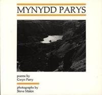 Mynydd Parys