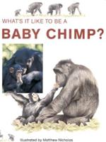 What's It Like to Be a Baby Chimp?