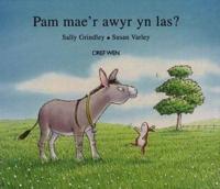 Pam Mae'r Awyr Yn Las?