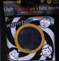 Wynebau