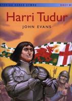 Storïau Hanes Cymru: Harri Tudur (Llyfr Mawr)
