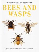 Bees and Wasps