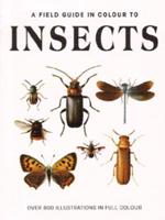 Insects