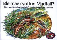 Ble Mae Cynffon Madfall?