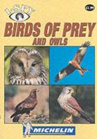 Birds of Prey and Owls