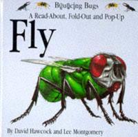A Read-About, Fold-Out and Pop-Up Fly