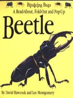 A Read-About, Fold-Out and Pop-Up Beetle