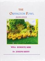 Orpington Fowl