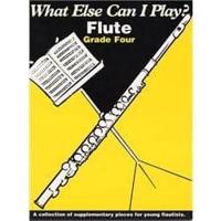 What Else Can I Play?. Flute: Grade Four