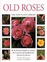 Old Roses
