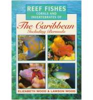 Reef Fishes, Corals and Invertebrates of the Caribbean Including Bermuda