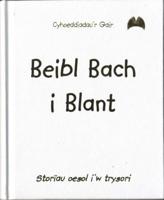 Beibl Bach I Blant (Lledr Gwyn)