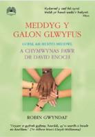 Meddyg Y Galon Glwyfus