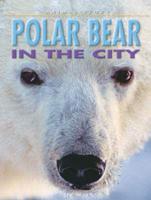 Polar Bear in the City