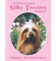 Australian Silky Terriers Today