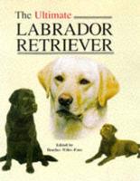 The Ultimate Labrador Retriever