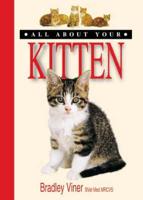 All About Your Kitten
