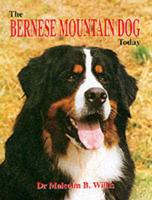 The Bernese Mountain Dog Today