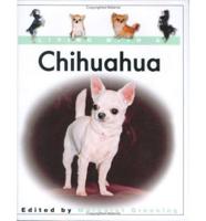Living With a Chihuahua