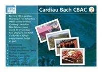 Cardiau Bach CBAC 2