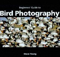 An Essential Guide to Bird Photography