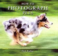 How to Photograph Pets