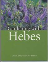 Gardening With Hebes
