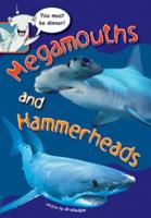 Sailing Solo Green: Megamouths and Hammerheads