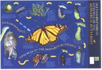 Monarch Butterfly Lifecycle Wallchart