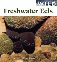 Freshwater Eels
